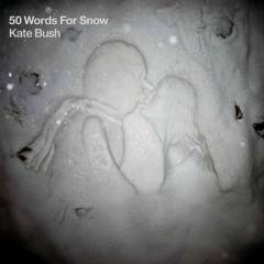 50 words for snow