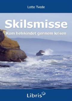 Skilsmisse : kom helskindet gennem krisen