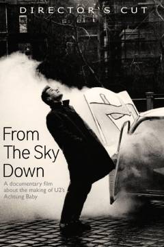 From the sky down : a documentary film