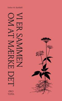 Bog, 1. udgave, 2020