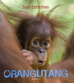 Orangutang