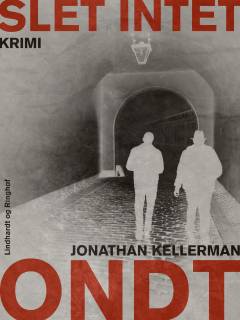 Slet intet ondt - : kriminalroman