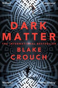 Dark matter : a novel