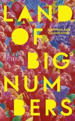 Land of big numbers