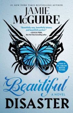 Beautiful disaster : a novel