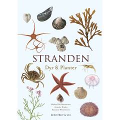Stranden : dyr & planter