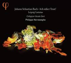 Ach süsser Trost! : Leipzig cantatas