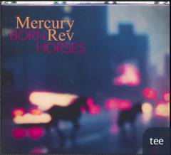 Born horses