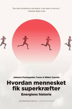 Hvordan mennesket fik superkræfter : energiens historie
