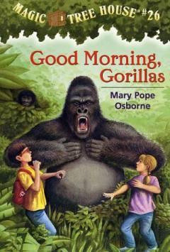 Good morning, gorillas