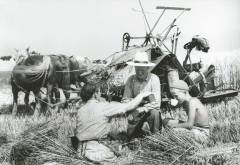 Danske landbrugshistoriske film : katalog