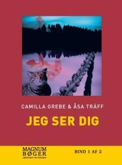 Jeg ser dig. Bind 1 (Stor skrift)