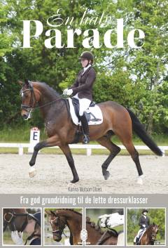 En halv parade : fra god grundridning til de lette dressurklasser