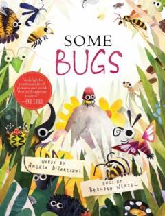 Some bugs