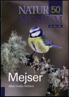 Mejser