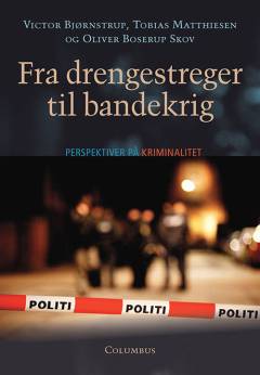 Fra drengestreger til bandekrig : perspektiver på kriminalitet