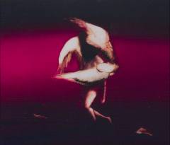 Musik (cd), ℗2025