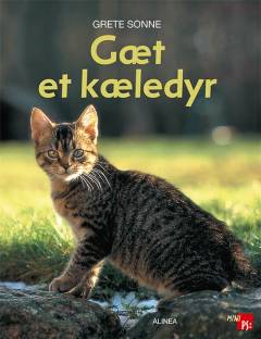 Gæt et kæledyr