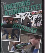 Ungdomskriminalitet