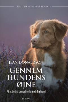 Gennem hundens øjne : få et bedre samarbejde med din hund