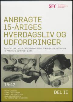 Anbragte 15-åriges hverdagsliv og udfordringer : rapport fra tredje dataindsamling af forløbsundersøgelsen af anbragte børn født i 1995. Del 2