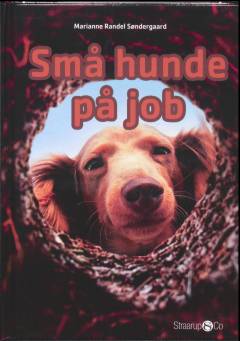 Små hunde på job