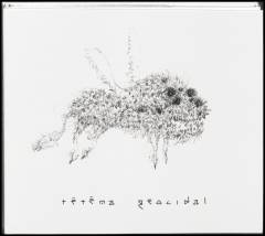 Musik (cd), ℗2014