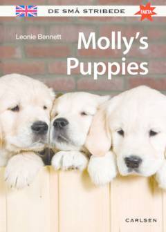 Molly's puppies