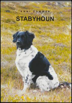 Stabyhoun