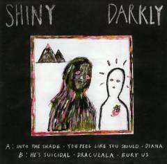 Shiny Darkly