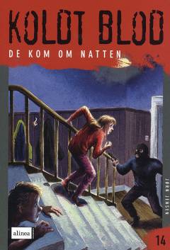 De kom om natten