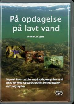 På opdagelse på lavt vand