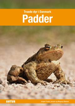 Padder
