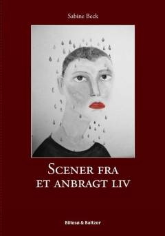 Scener fra et anbragt liv : 12 unge fortæller om livet før, under og efter de blev anbragt på et opholdssted