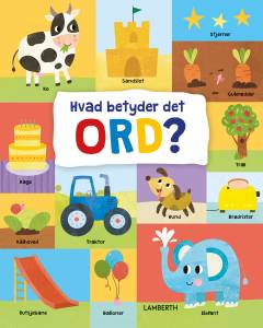 Hvad betyder det ord?