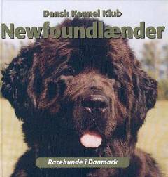 Newfoundlænder