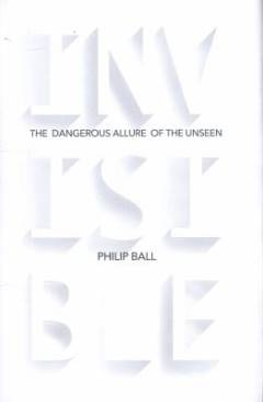 Invisible : the dangerous allure of the unseen