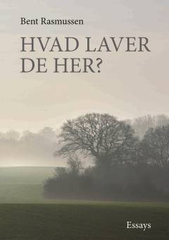 Hvad laver De her? : afsluttende bemærkninger : essays