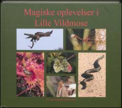 Magiske oplevelser i Lille Vildmose