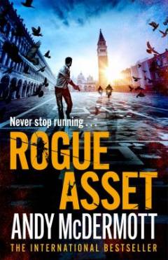 Rogue asset