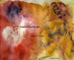 Ildebefindende : digte