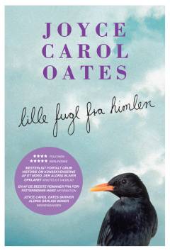 Lille fugl fra himlen