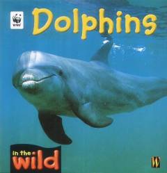 Dolphins