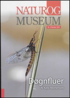 Døgnfluer