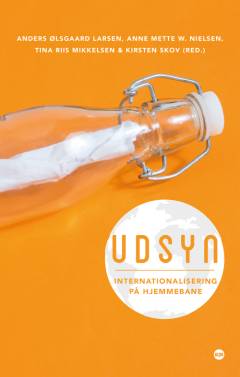 Udsyn : internationalisering på hjemmebane