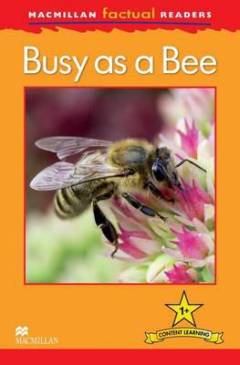 Busy as a bee
