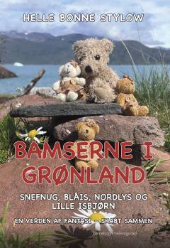 Bamserne i Grønland : Snefnug, Blåis, Nordlys og lille Isbjørn : en verden af fantasi - skabt sammen