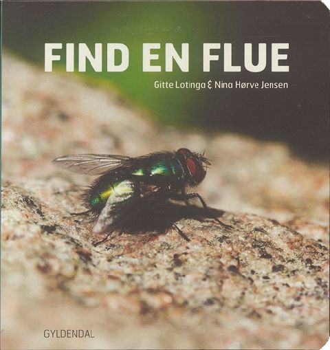 Find en flue
