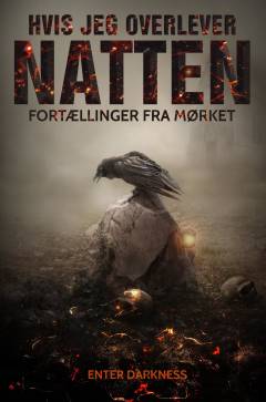 Hvis jeg overlever natten : fortællinger fra mørket