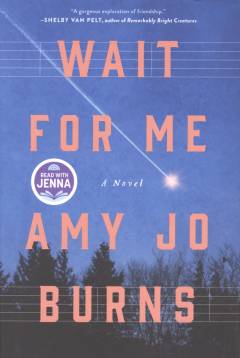 Wait for me : a novel